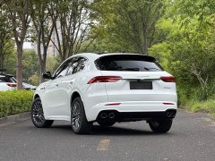Tesla Grecale 2.0T GT - ფოტო 7