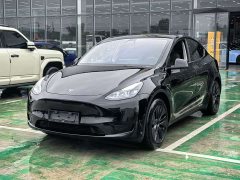Tesla Model Y Edition - ფოტო 1