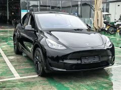 Tesla Model Y Edition - ფოტო 2