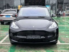 Tesla Model Y Edition - ფოტო 3