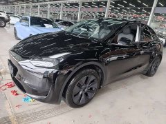 Tesla Model Y Edition - ფოტო 7