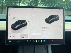 Tesla Model Y PerformancePerformance Edition - ფოტო 10