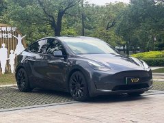 Tesla Model Y PerformancePerformance Edition - ფოტო 5