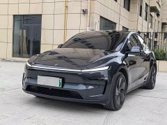 Tesla Model Y Edition - ფოტო 2