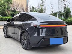 Tesla Model Y Edition - ფოტო 5