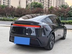 Tesla Model Y Edition - ფოტო 6