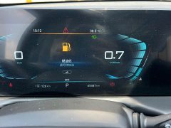 Chery 290T 2WD Edition - ფოტო 18