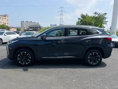 Chery 290T 2WD Edition - ფოტო 4