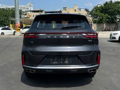 Chery 290T 2WD Edition - ფოტო 6