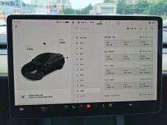 Tesla Model Y Standard Range Edition - ფოტო 15