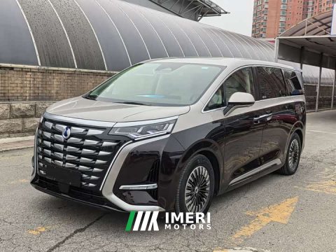 2024 Denza D9 PREMIER Edition - ავტომობილი ჩინეთიდან