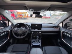 Volkswagen 2.0L CVT2WDLuxuryPLUS Edition - ფოტო 10