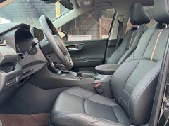 Volkswagen 2.0L CVT2WDLuxuryPLUS Edition - ფოტო 13