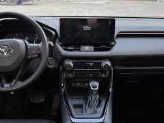 Volkswagen 2.0L CVT2WDLuxuryPLUS Edition - ფოტო 9