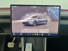 Tesla Model Y Edition - ფოტო 5