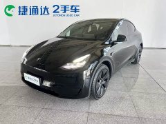 Tesla Model Y Edition - ფოტო 1