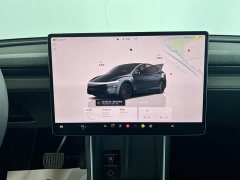 Tesla Model Y Edition - ფოტო 19