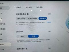 BYD 07 DM-i 1.5T 230km Flagship Version - ფოტო 16