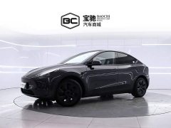 Tesla Model Y Long Range Edition - ფოტო 1