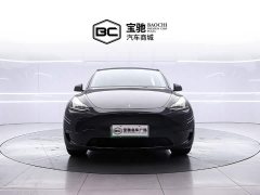 Tesla Model Y Long Range Edition - ფოტო 2