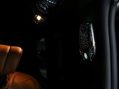 Tesla 2.0T Business Edition 7 - ფოტო 20