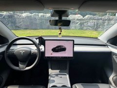 Tesla Model Y Edition - ფოტო 10