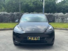 Tesla Model Y Edition - ფოტო 2