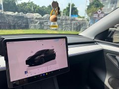 Tesla Model Y Edition - ფოტო 20