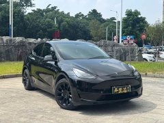Tesla Model Y Edition - ფოტო 3