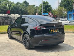 Tesla Model Y Edition - ფოტო 4