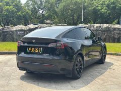 Tesla Model Y Edition - ფოტო 6