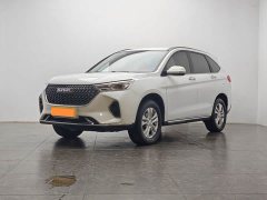 Haval M6 PLUS 1.5T DCT Version - ფოტო 1