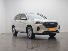 Haval M6 PLUS 1.5T DCT Version - ფოტო 2