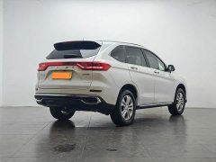 Haval M6 PLUS 1.5T DCT Version - ფოტო 3