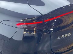Land Rover LS6 EREV 66 Max - ფოტო 12