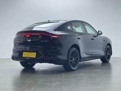 Land Rover LS6 EREV 66 Max - ფოტო 4