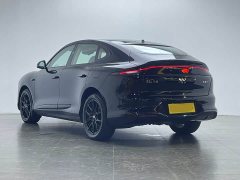 Land Rover LS6 EREV 66 Max - ფოტო 6