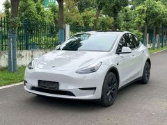 Tesla Model Y Edition - ფოტო 1