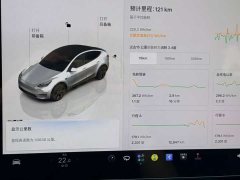 Tesla Model Y Edition - ფოტო 16
