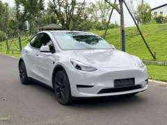 Tesla Model Y Edition - ფოტო 2