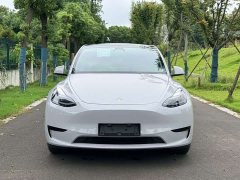 Tesla Model Y Edition - ფოტო 3