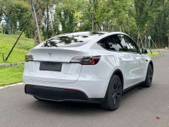 Tesla Model Y Edition - ფოტო 5