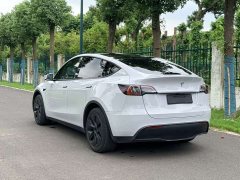 Tesla Model Y Edition - ფოტო 6