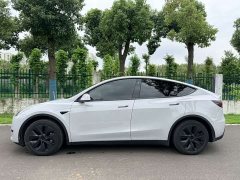 Tesla Model Y Edition - ფოტო 8
