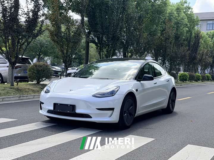 Tesla Model 3 Standard Range Edition 3D6