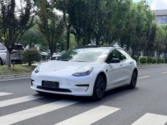 Tesla Model 3 Standard Range Edition 3D6 - ფოტო 1