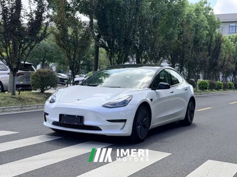 2021 Tesla Model 3 Standard Range Edition 3D6 - ავტომობილი ჩინეთიდან