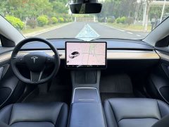 Tesla Model 3 Standard Range Edition 3D6 - ფოტო 13
