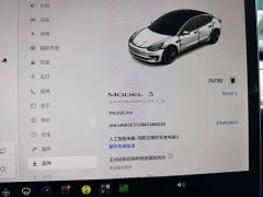 Tesla Model 3 Standard Range Edition 3D6 - ფოტო 14