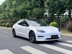 Tesla Model 3 Standard Range Edition 3D6 - ფოტო 2